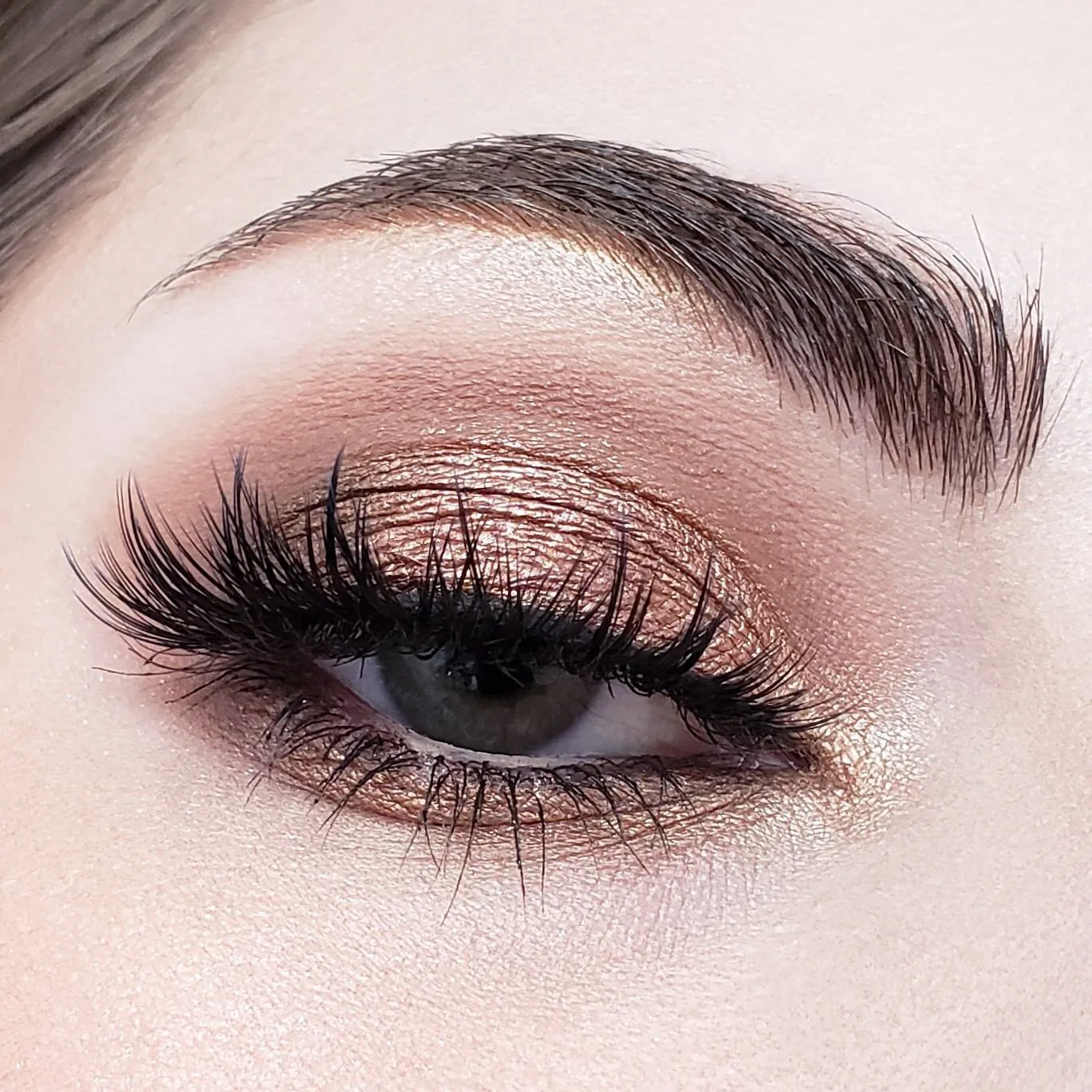 35 Color Java Eyeshadow Collection 35J