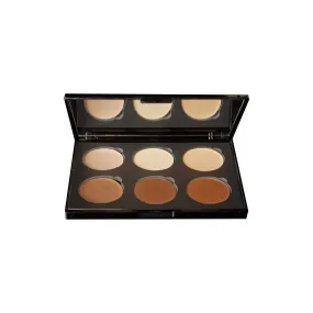 Blush Makeup Cosmetics Contour Palette - 6 Well Cream