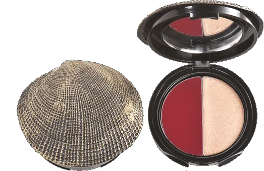 DuWop Seashell Lip Dual - Lipstick and Lipgloss - Thief