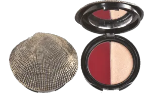 DuWop Seashell Lip Dual - Lipstick and Lipgloss - Thief