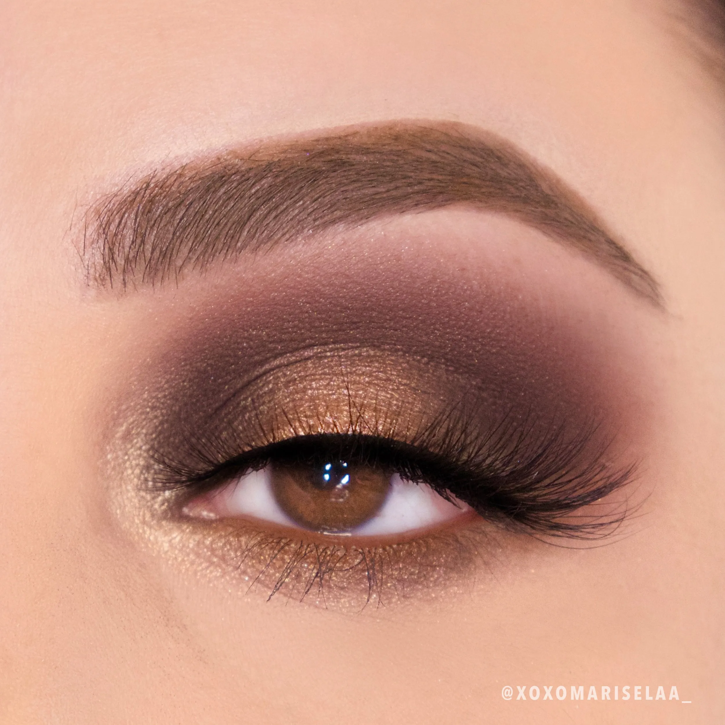 Golden Treasure Palette