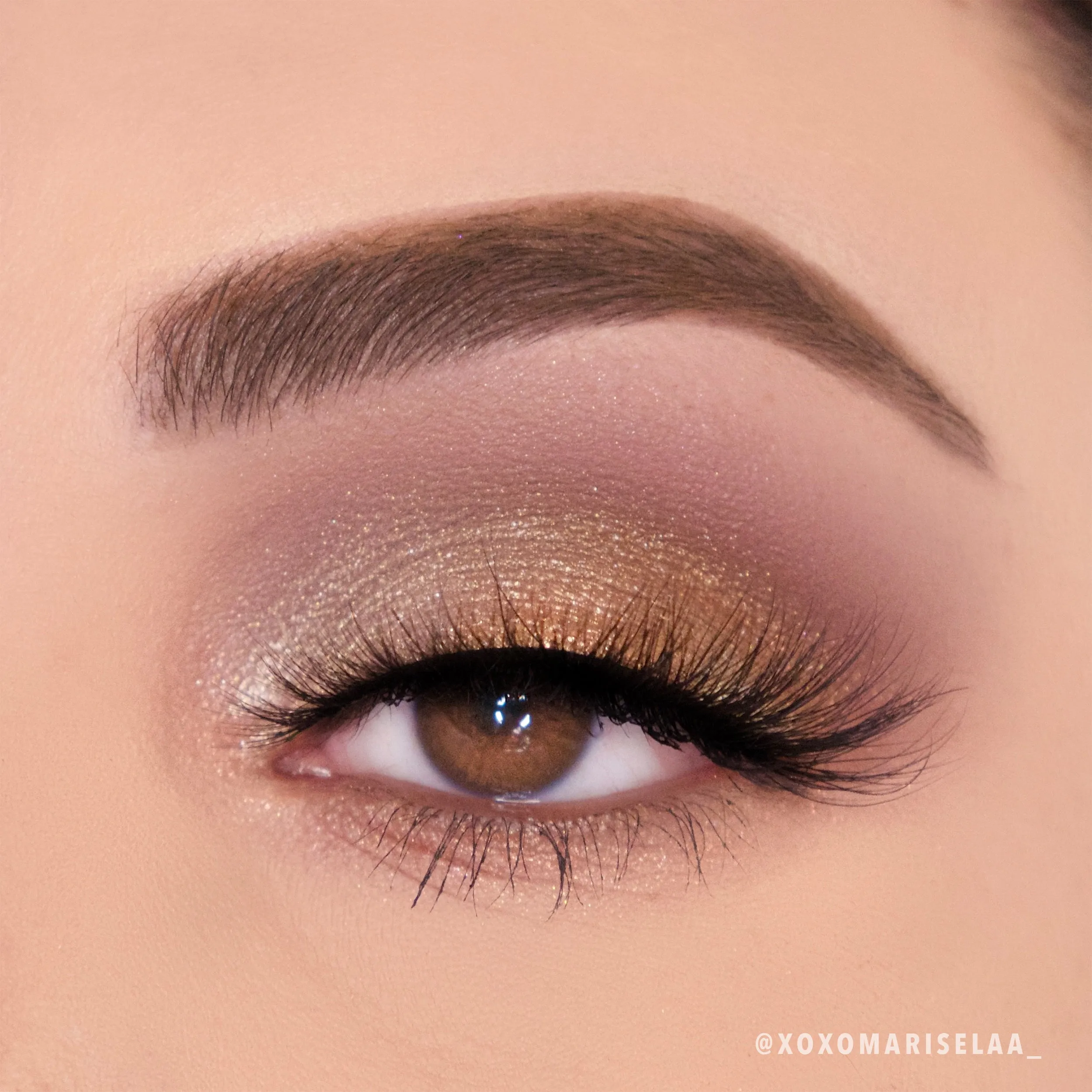 Golden Treasure Palette