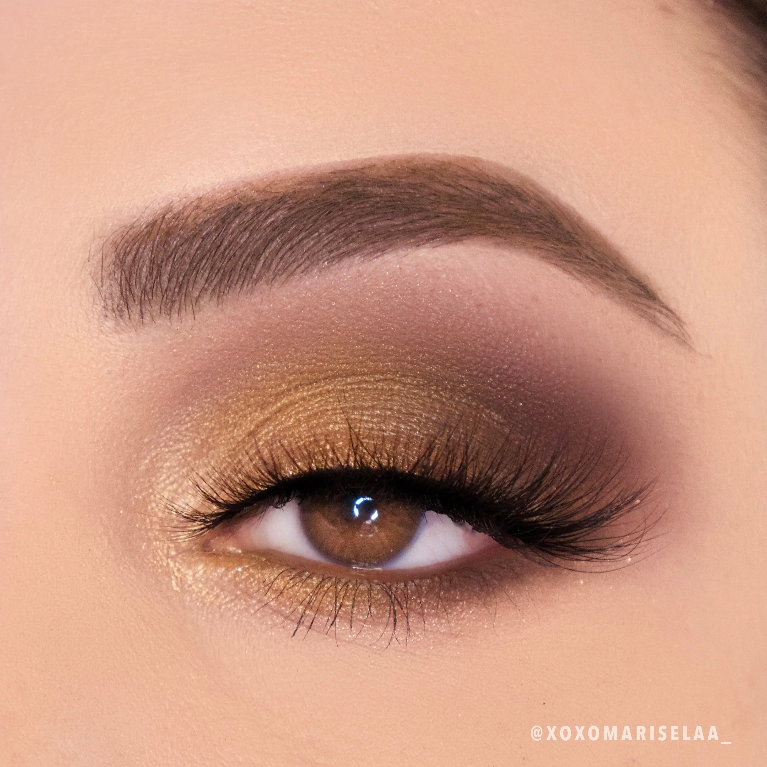 Golden Treasure Palette