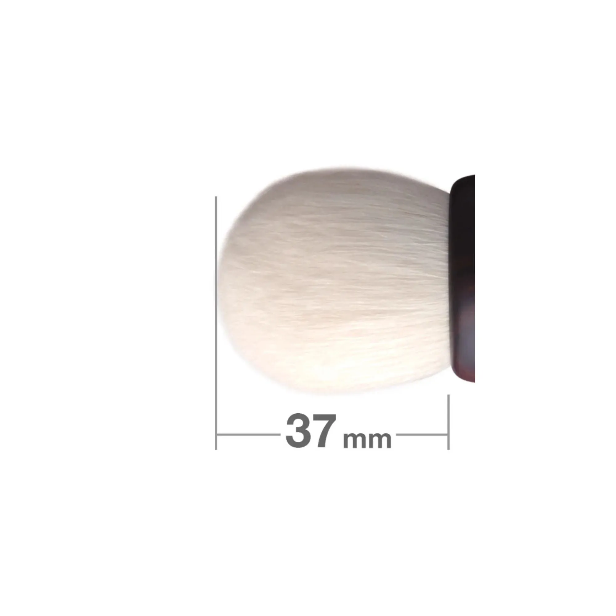 Hakuhodo Kokutan Kinoko Brush White (S, M, L)
