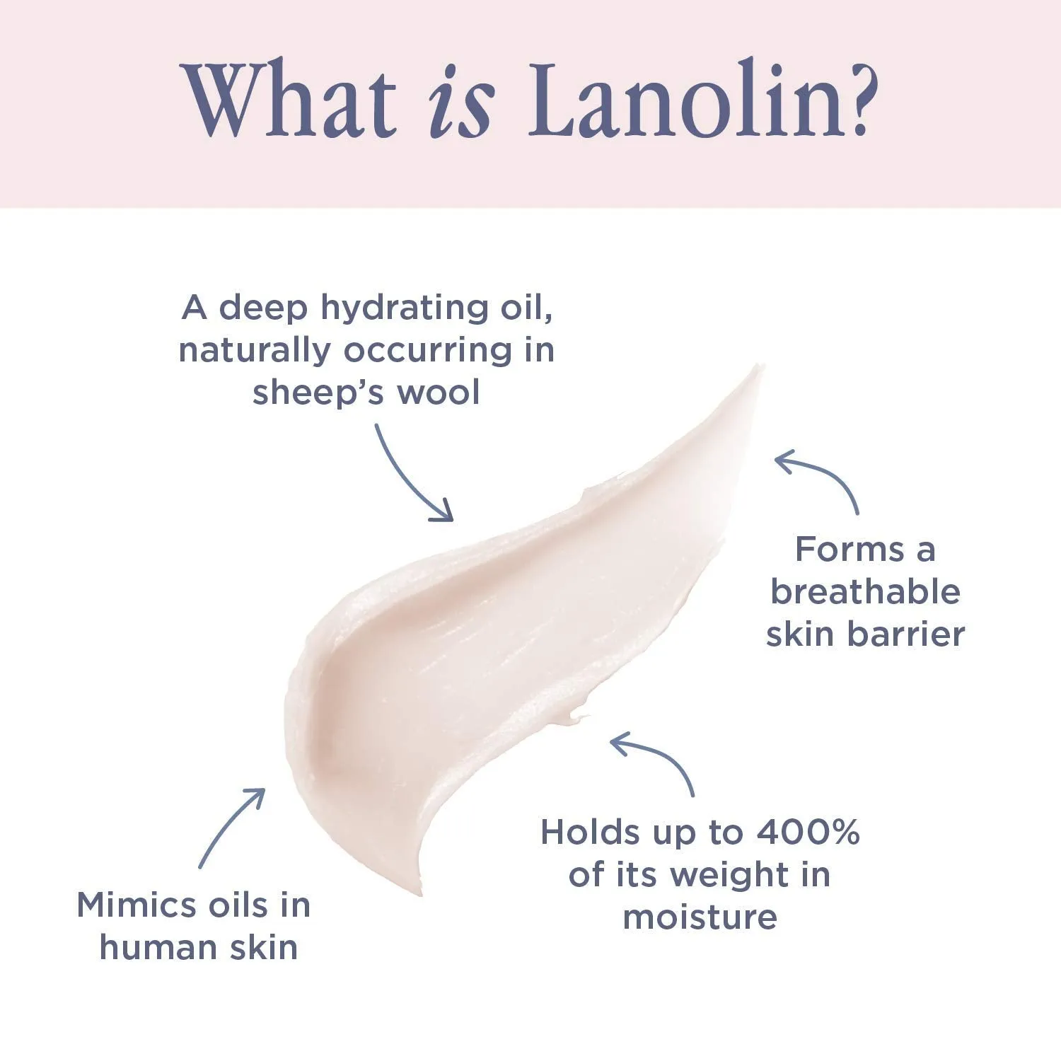 Lanolips Tinted Balm Rhubarb - Natural Lanolin-Based Balm with Color   Gloss for Shiny, Hydrated Lips (12.5g / 0.44oz)