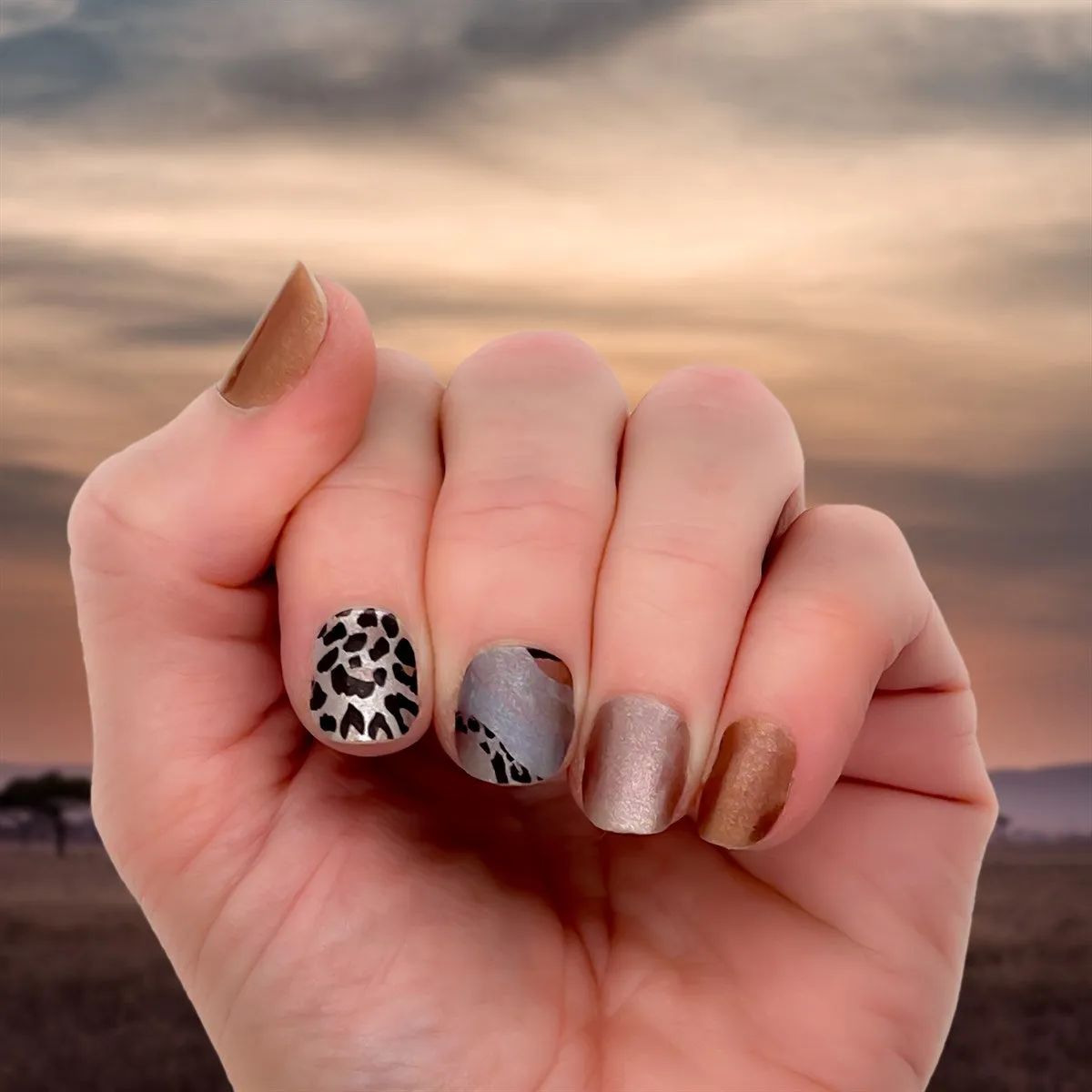 Nail Wrap - Serengeti