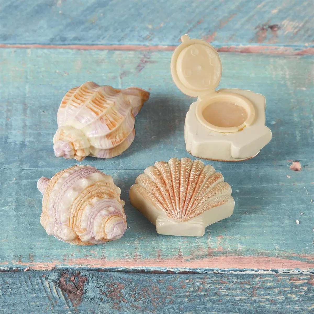 Seashell Lip Gloss