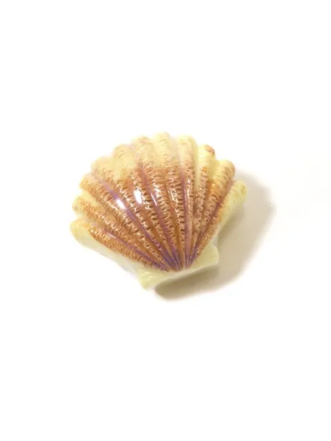 Seashell Lip Gloss